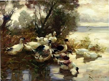 unknow artist Ducks 095 Spain oil painting art